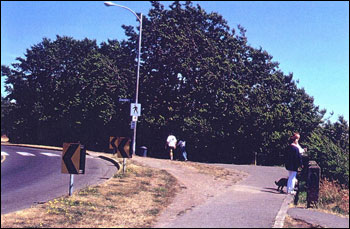Dallas Road in 2000 with elms blocking the view